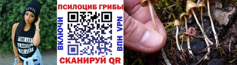 Псилоцибиновые грибы Psilocybe  Арсеньев 
